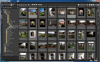 layout-0005