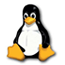 platform_linux