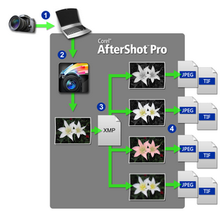 corel aftershot pro 3 create a camera profile