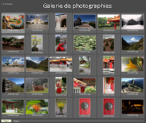 gallery_grid