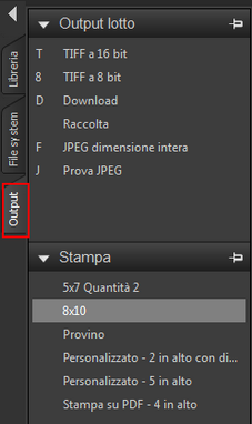 browse_panel_output