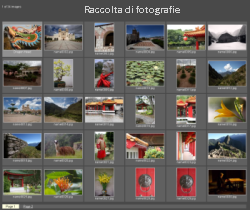 gallery_grid