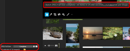 To guage speed, you can view total processing time and average time per image after the processing is complete.