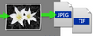 output_tif_jpeg