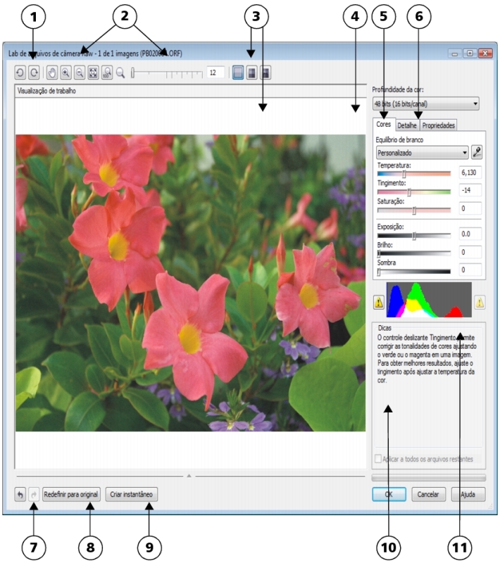CorelDRAW Ajuda  Lab. de ajuste de imagem