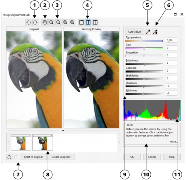 Corel Draw Tips & Tricks AUTO DRAW 