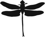 RGB �`�����l�����B��