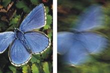 �J�������[�V�����u���[