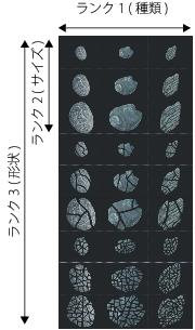 image hose rank 3 nozzle