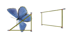 cloning reference points