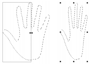 scale selection