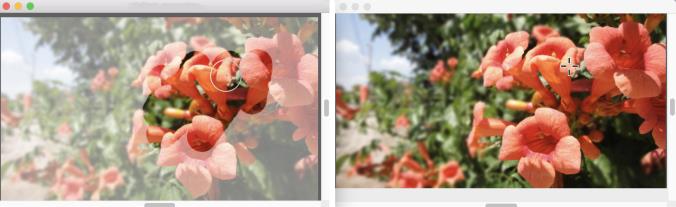 clone source cloning