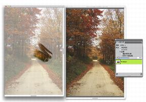 clone source cloning