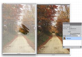 clone source cloning
