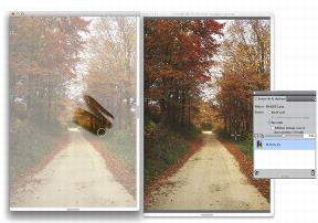 clone source cloning