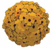 place elements effect