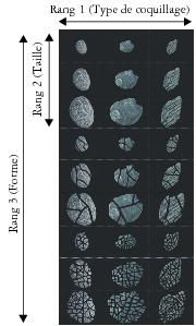 image hose rank 3 nozzle