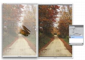 clone source cloning