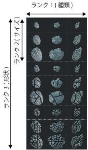 image hose rank 3 nozzle