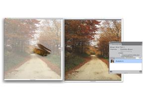 clone source cloning