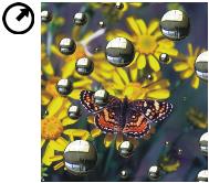 liquid ink circle tool