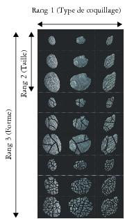 image hose rank 3 nozzle