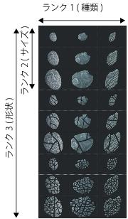 image hose rank 3 nozzle