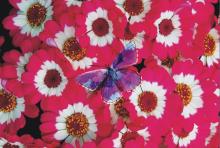 �j���c���覡