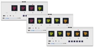 �ʵe���v�����޼Q�L