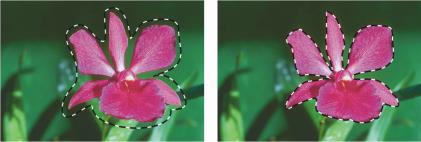 ��h���|�������