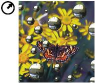 liquid ink circle tool