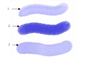 Style de la carte de flux