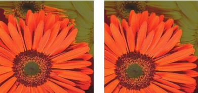 Canal des zones prot�g�es