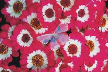 Mode de fusion �claircir