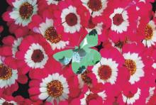 Mode de fusion Invers�