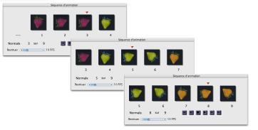 fichiers de jets � partir d’animations
