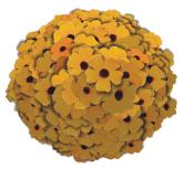 Bewegungsunschärfe durch Kamera