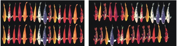 Schlauch-Strahl aus Film