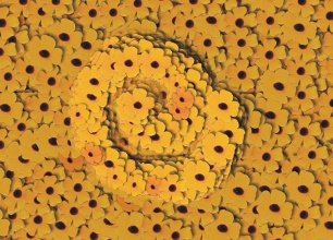 Schlauch-Strahl aus Film