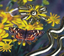 Kaleidoskop (Plugin)