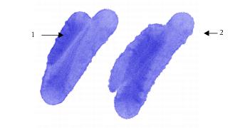 Variante de style de la carte de flux