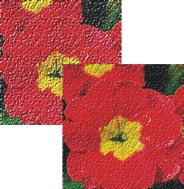 Effets d’att�nuation