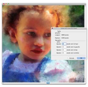 Taille de la zone de travail