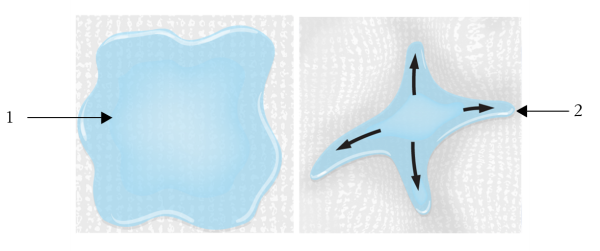 custom flow maps