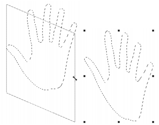 panel options