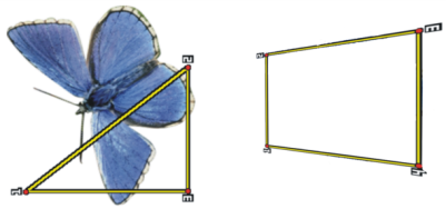 cloning reference points