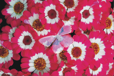 hue composite method