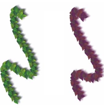 自影片创建图像喷管喷嘴