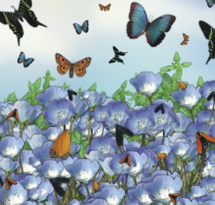 自影片创建图像喷管喷嘴